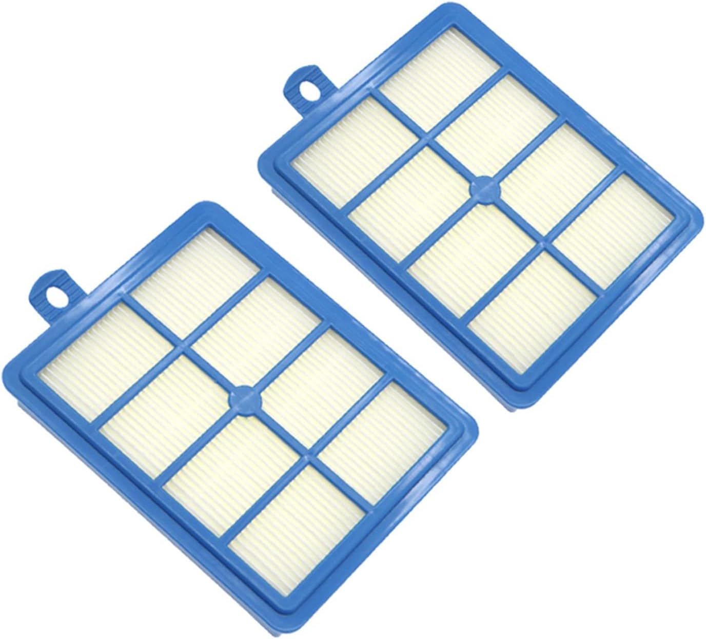 2 X HEPA filters for Electrolux, Volta, Wertheim, Phillips, AEG & Tornad